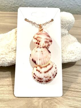 45. Melbourne Beach, FL Calico scallop Shell Pendant Necklace